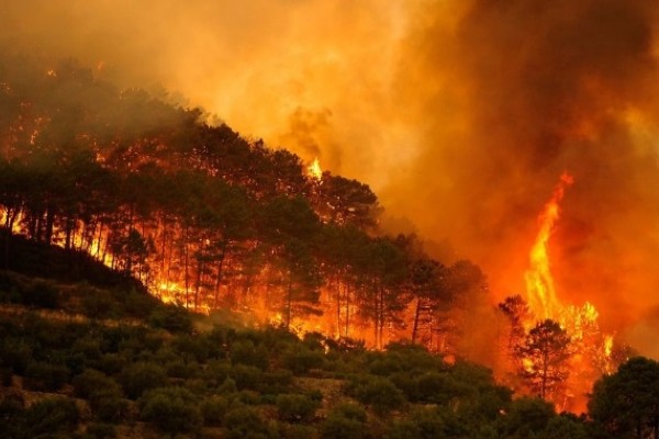 Segunda temporada seca trae alto riesgo de incendios