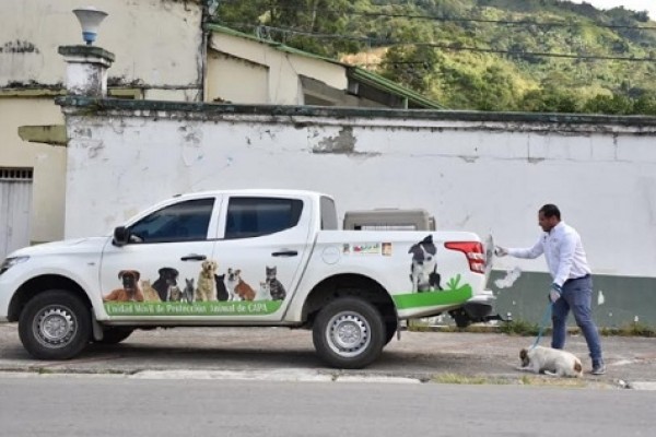 En Ibagué CAPA ha rescatado 351 animales maltratados y abandonados
