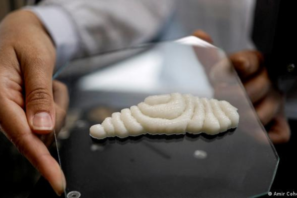 Ahora se podrá comer filete de pescado mediante la impresión 3D