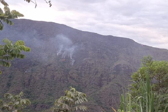 Incendio Palermo