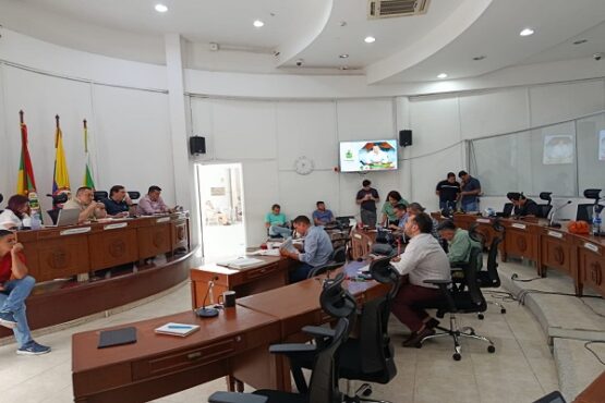 Concejo de Neiva