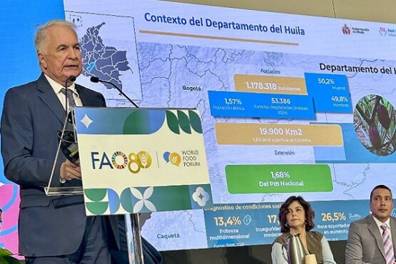 Rodrigo Villalba, Presentación Fao