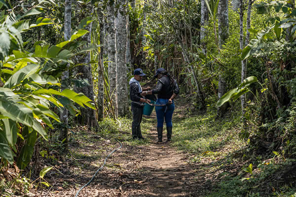 Importantes inversiones en proyectos para firmantes de paz